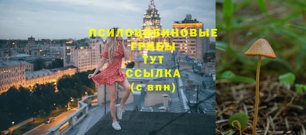 молекула духа Остров