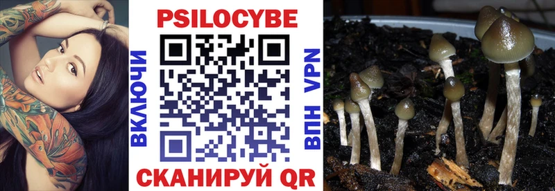 Галлюциногенные грибы ЛСД  купить наркотик  Беломорск 